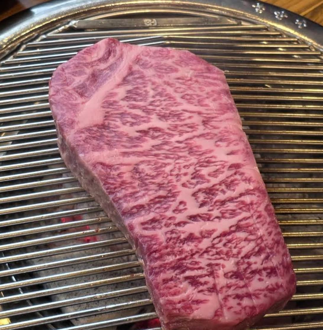 GOSANCHON — marbled hanwoo beef close ups