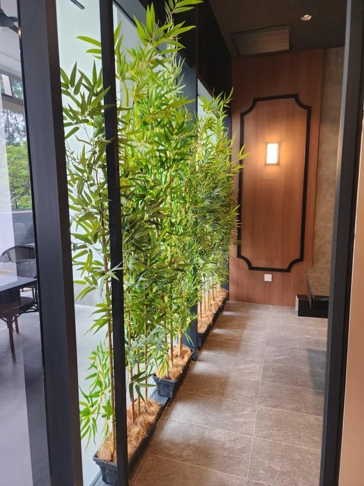 GOSANCHON — plant wall